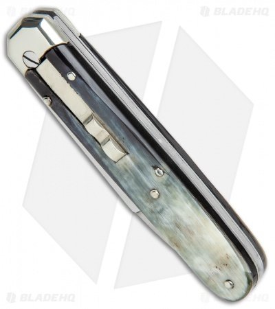 AGA-Campolin-LL-Auto-Dark-Horn-Satin-BHQ-117069-jr-spine.jpg