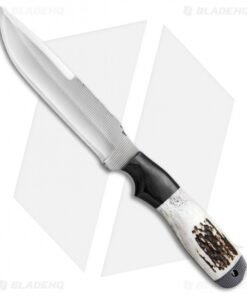 Anza Knives Dunefield DE Fixed Blade Knife Stag Horn (6.25" Satin)