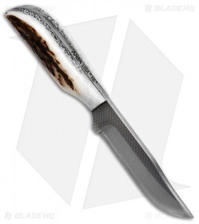 Anza Knives LBK-FE Fixed Blade Knife Stag Horn/Micarta (2.75" Satin) - Image 2