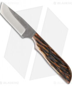 Anza Knives WK-1AJB Tanto Fixed Blade Knife Amber Jigged Bone (2.75" Satin)