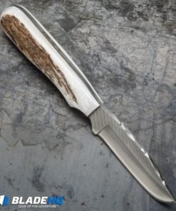 Alternative view of Anza Knives F4-FE Fixed Blade Knife Stag Horn (3.4" Plain)